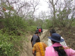 Short pathway to Manasa Devi