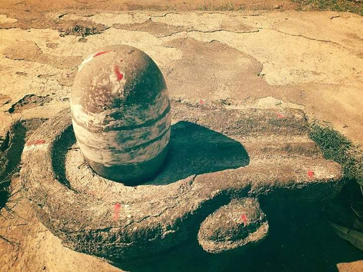 wp-1455187743903 image